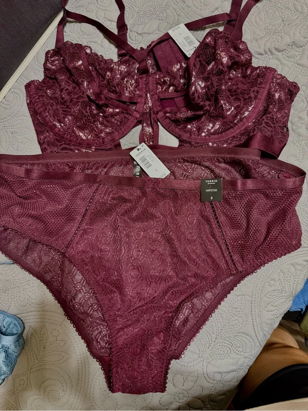 torrid Wine Lace Underwire Bra & Hipster Set